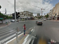 בעלי חיים fauna