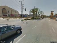 בעלי חיים fauna