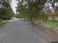 חריטה אומנותית Bar-art wood tree