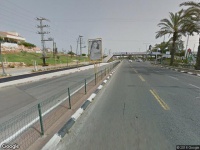 פרחים Experience and seedling