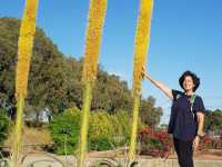 אומנויות לחימה Bujin - Cannes