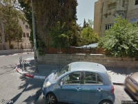 וטרינר Dr. Hasson memory