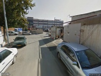 עץ Sassy Brothers Ltd.